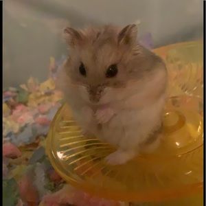 Meet your Posher, Kennedy